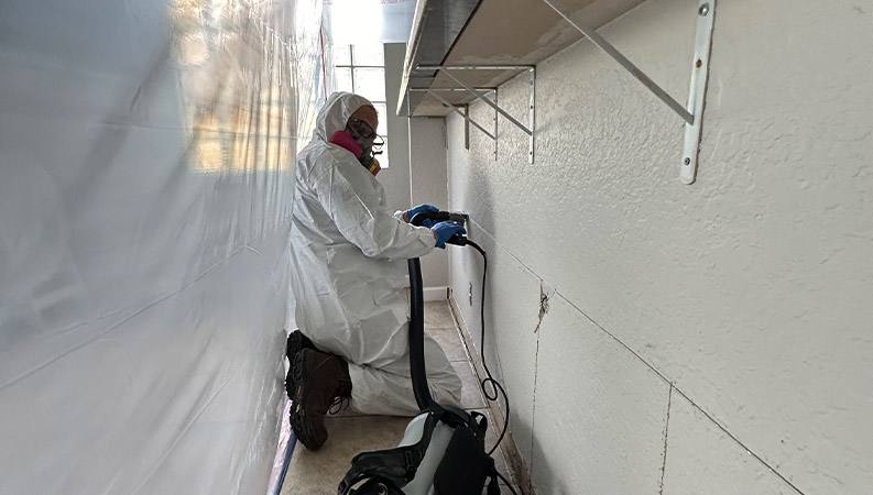 Service Mold Remediation